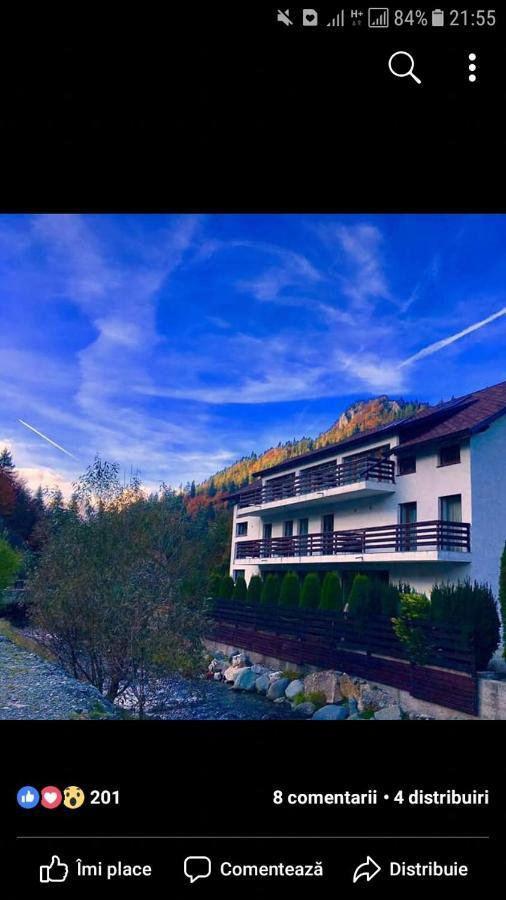 House Of River Moeciu De Sus Exterior photo